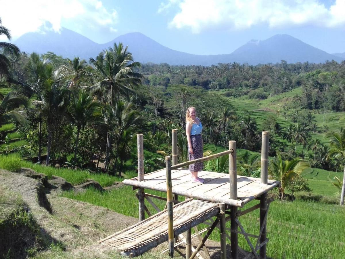 Kubu D'ume Homestay Jatiluwih